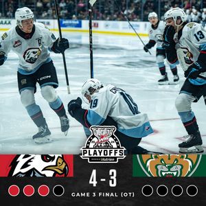 Image post by @TheWHL on Twitter