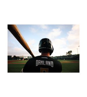 Image post by @atibbsphotos on Twitter