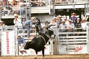 Image post by @ellensburgrodeo on Instagram