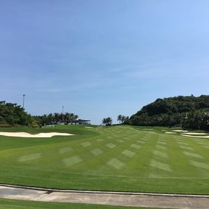 Image post by @oliverbvgbekker on Instagram