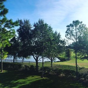 Image post by @rosencollege on Instagram