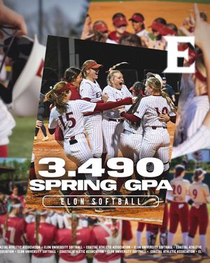 Image post by @elonsoftball on Instagram