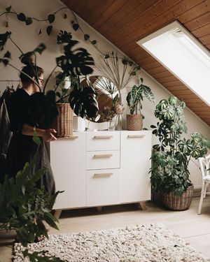 Image post by @oliver.space on Instagram