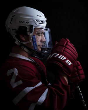 Image post by @hockeyhousepod on Instagram