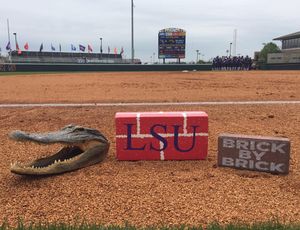 Image post by @gatorssb on Instagram