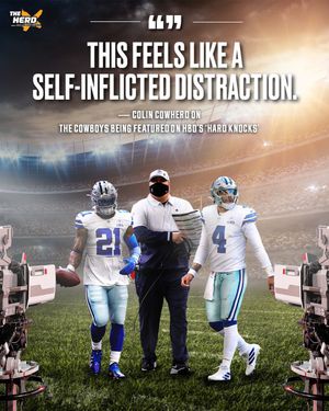 Image post by @theherd on Instagram