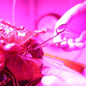 Image post by @nasaartemis on Instagram