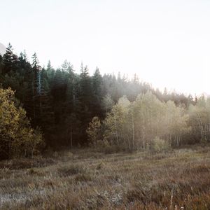 Image post by @sydneybphotography on Instagram