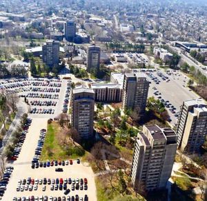 Image post by @hofstrau on Instagram