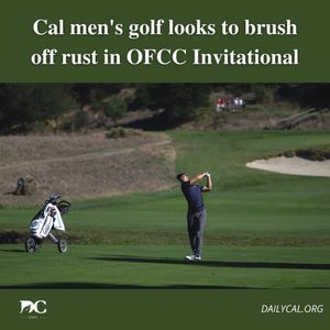 Image post by @dailycalsports on Instagram