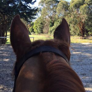 Image post by @snaffle_it on Instagram