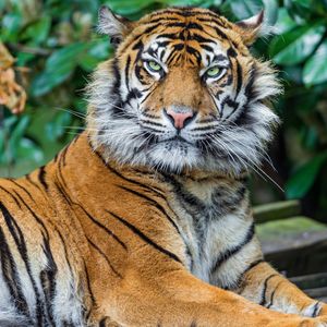 Image post by @discovery on Instagram