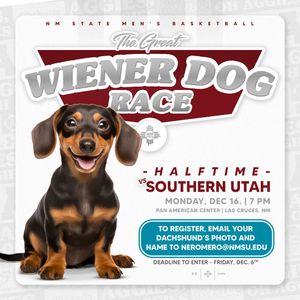 Image post by @nmstatembb on Instagram