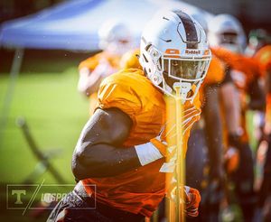 Image post by @vol_photos on Instagram