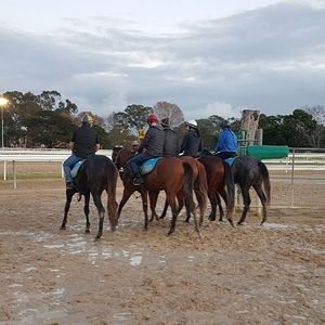Image post by @australianturfclub on Instagram