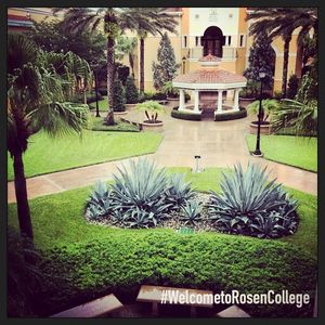 Image post by @rosencollege on Instagram