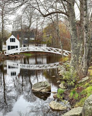 Image post by @themainemag on Instagram