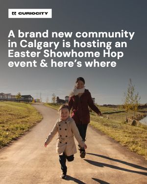 Image post by @curiocitycalgary on Instagram