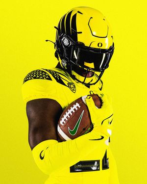 Image post by @goducks on Instagram