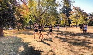 Image post by @pdxtrack on Instagram