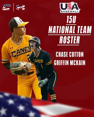 Image post by @thecanesbb on Instagram