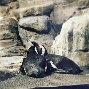 Image post by @kqed on Instagram