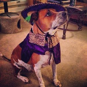 Image post by @brett_phillips8 on Instagram