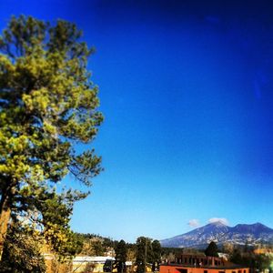 Image post by @nauflagstaff on Instagram