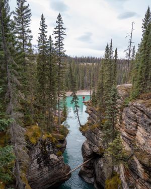 Image post by @theryan_reynolds on Instagram