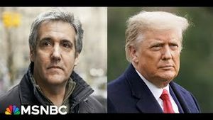 Video post by @msnbc on YouTube