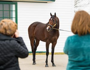 Image post by @spendthriftfarm on Instagram
