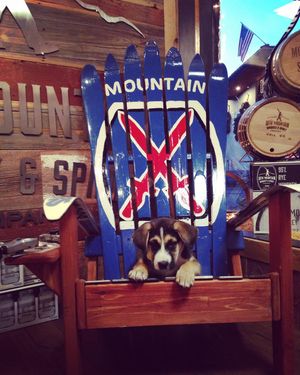 Image post by @10thmtnwhiskey on Instagram