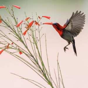 Image post by @discovery on Instagram