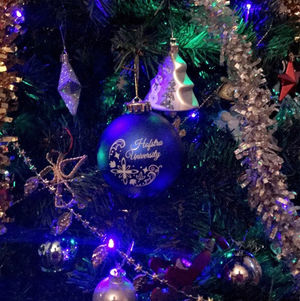 Image post by @hofstrau on Instagram