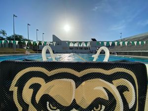 Image post by @oaklandswimdive on Instagram