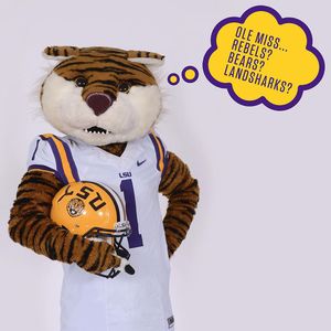 Image post by @lsumiketiger on Instagram