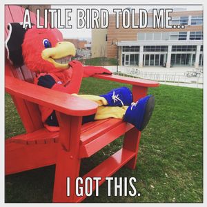 Image post by @shippensburgu on Instagram