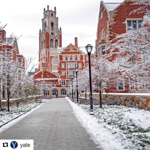 Image post by @yaleswimdive on Instagram