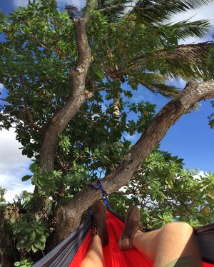 Image post by @olukai on Instagram