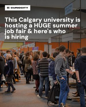 Image post by @curiocitycalgary on Instagram