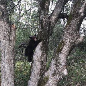 Image post by @nationalparkservice on Instagram