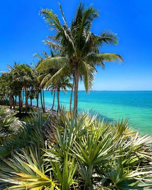 Image post by @visitsarasotacounty on Instagram