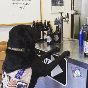 Image post by @navigationbrewingco on Instagram