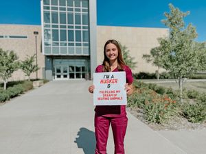 Image post by @unlincoln on Instagram