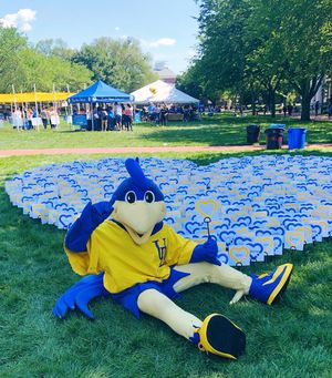 Image post by @udelaware on Instagram