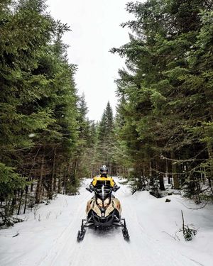 Image post by @themainemag on Instagram