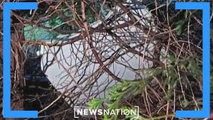 Video post by @newsnation on YouTube