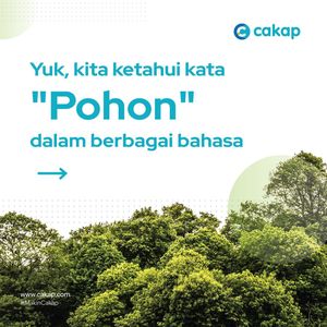 Image post by @cakapcom on Instagram