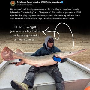 Image post by @okwildlifedept on Instagram