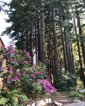 Image post by @ucsc on Instagram